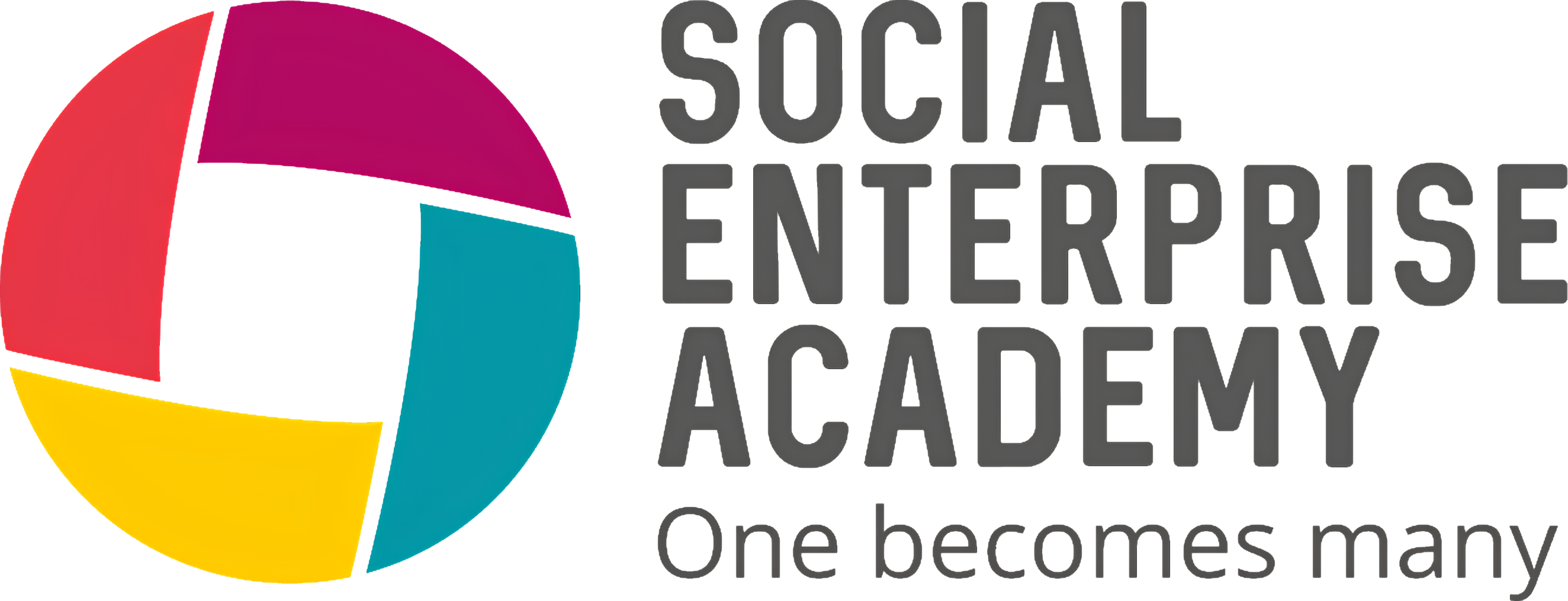 Social Enterprise Academy logo